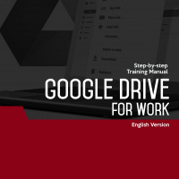 Google Drive For Work Level 2
