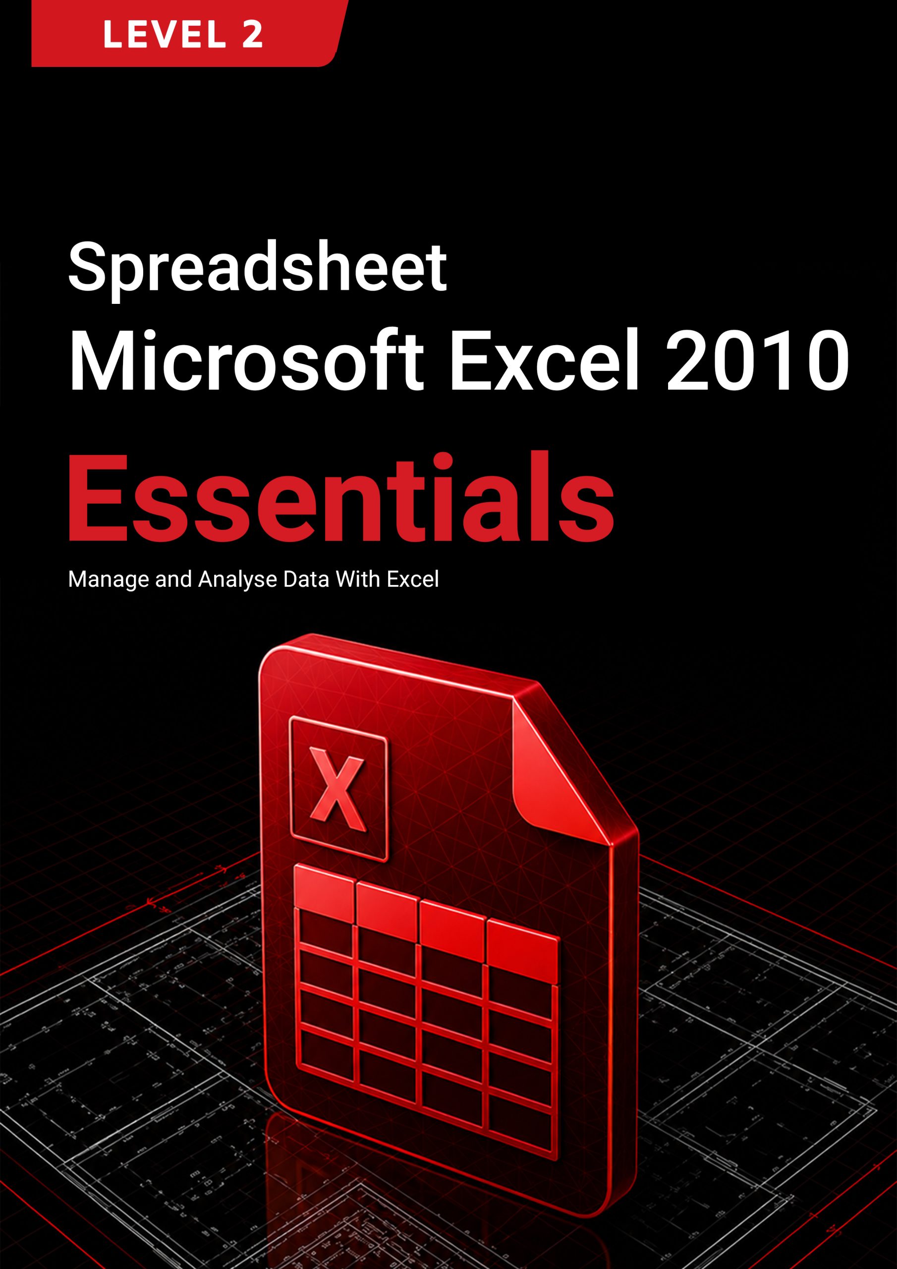 216. Spreadsheet (Microsoft Excel 2010) Level 2