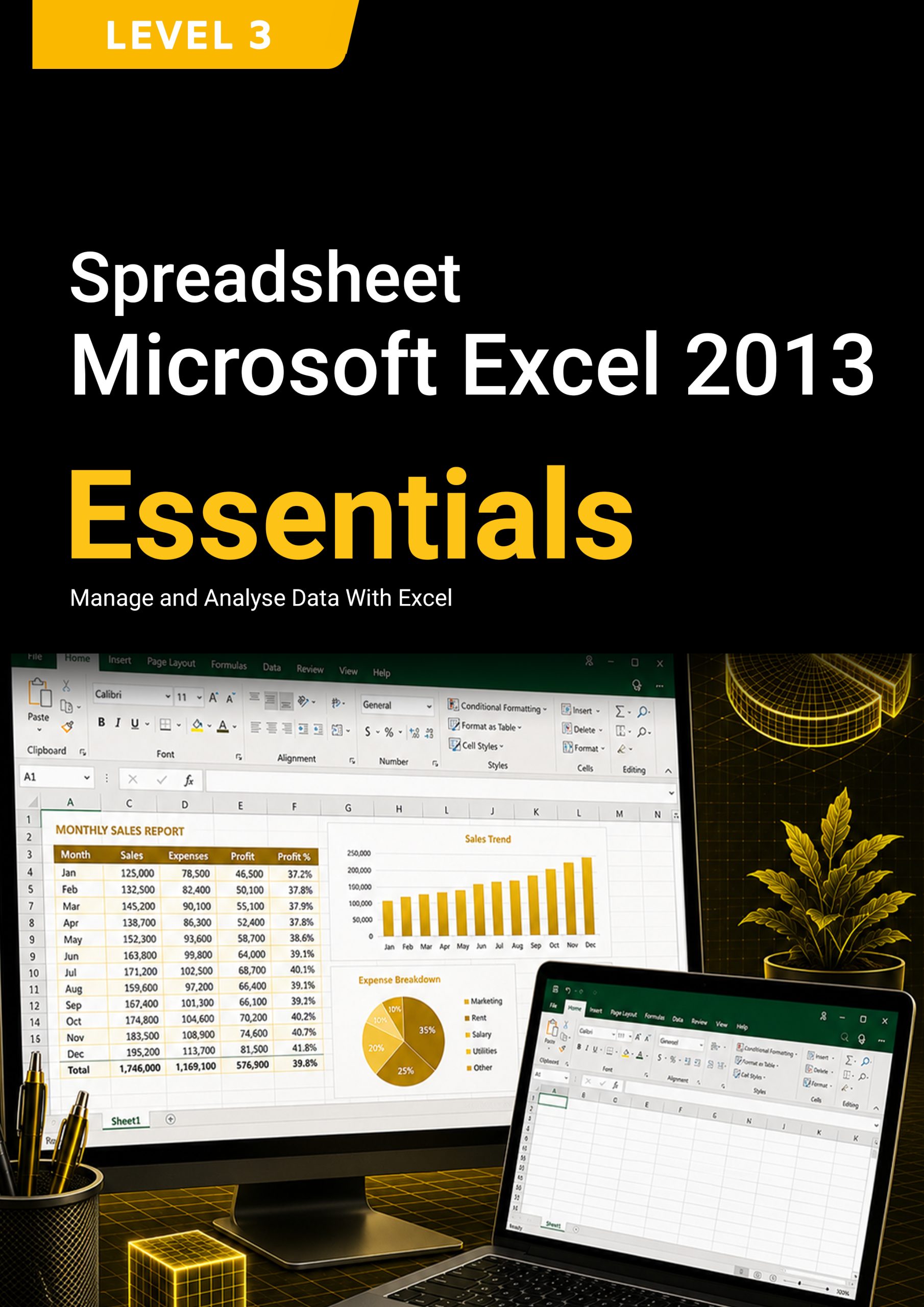 220. Spreadsheet (Microsoft Excel 2013) Level 3