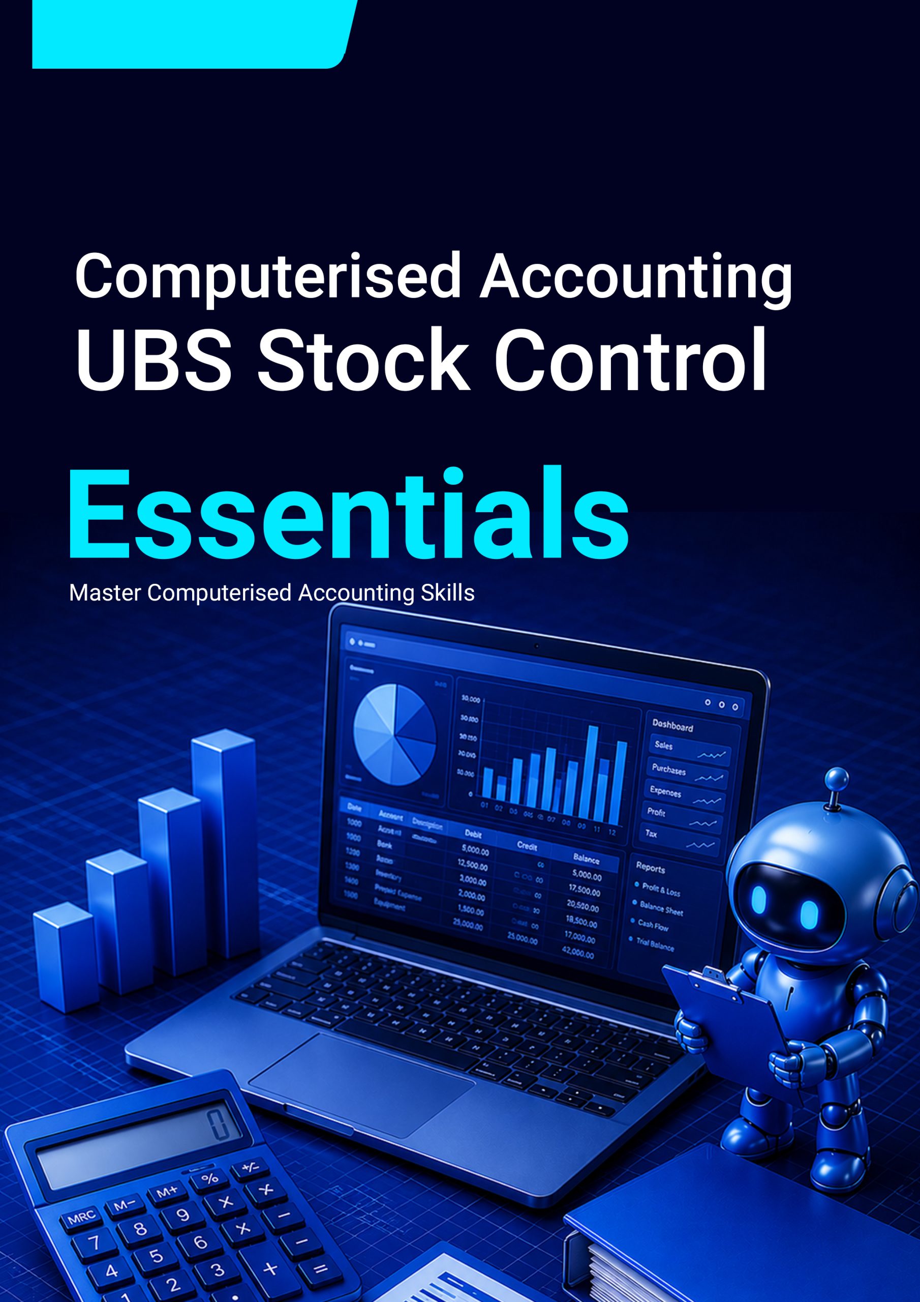 71. Computerised Accounting (UBS Stock Control)