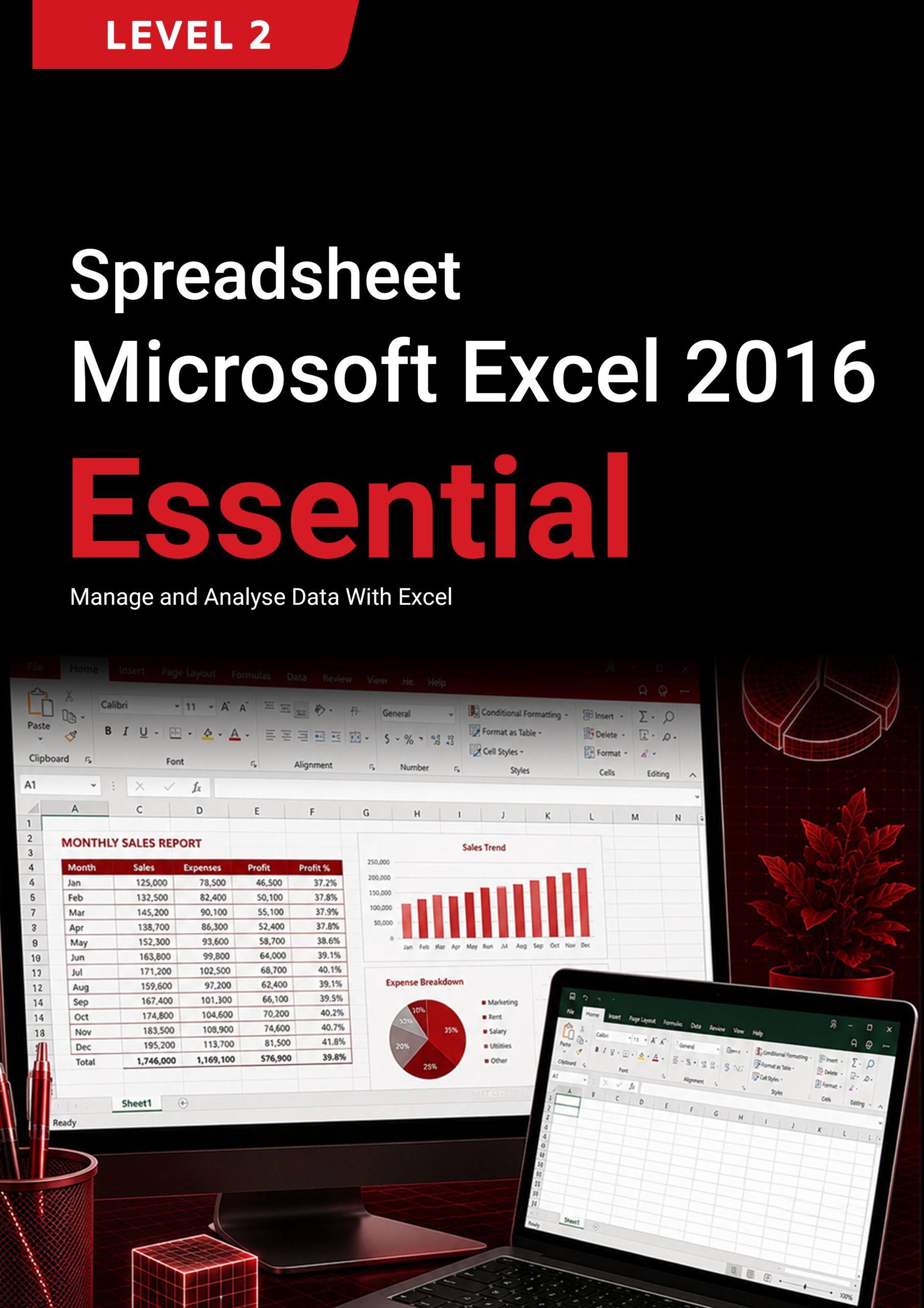 222. Spreadsheet (Microsoft Excel 2016) Level 2